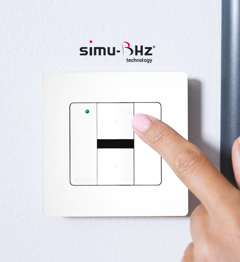 simu-telecommande-bhz